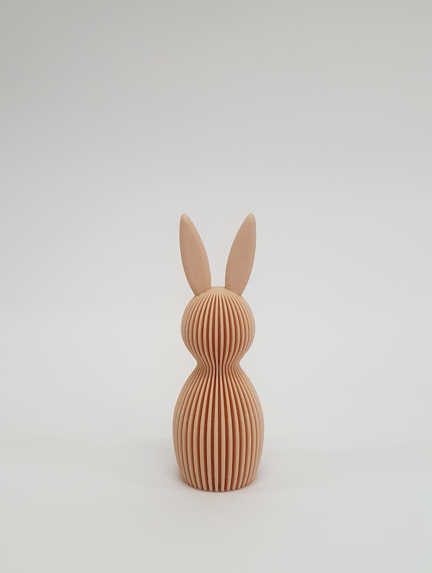 Διακοσμητικά λαγουδάκια μοντέρνου σχεδιασμού